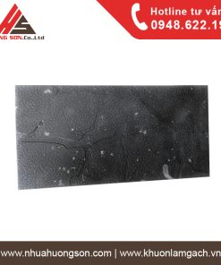 1 số mẫu khuôn gạch giả đá Mới nhất hiện nay